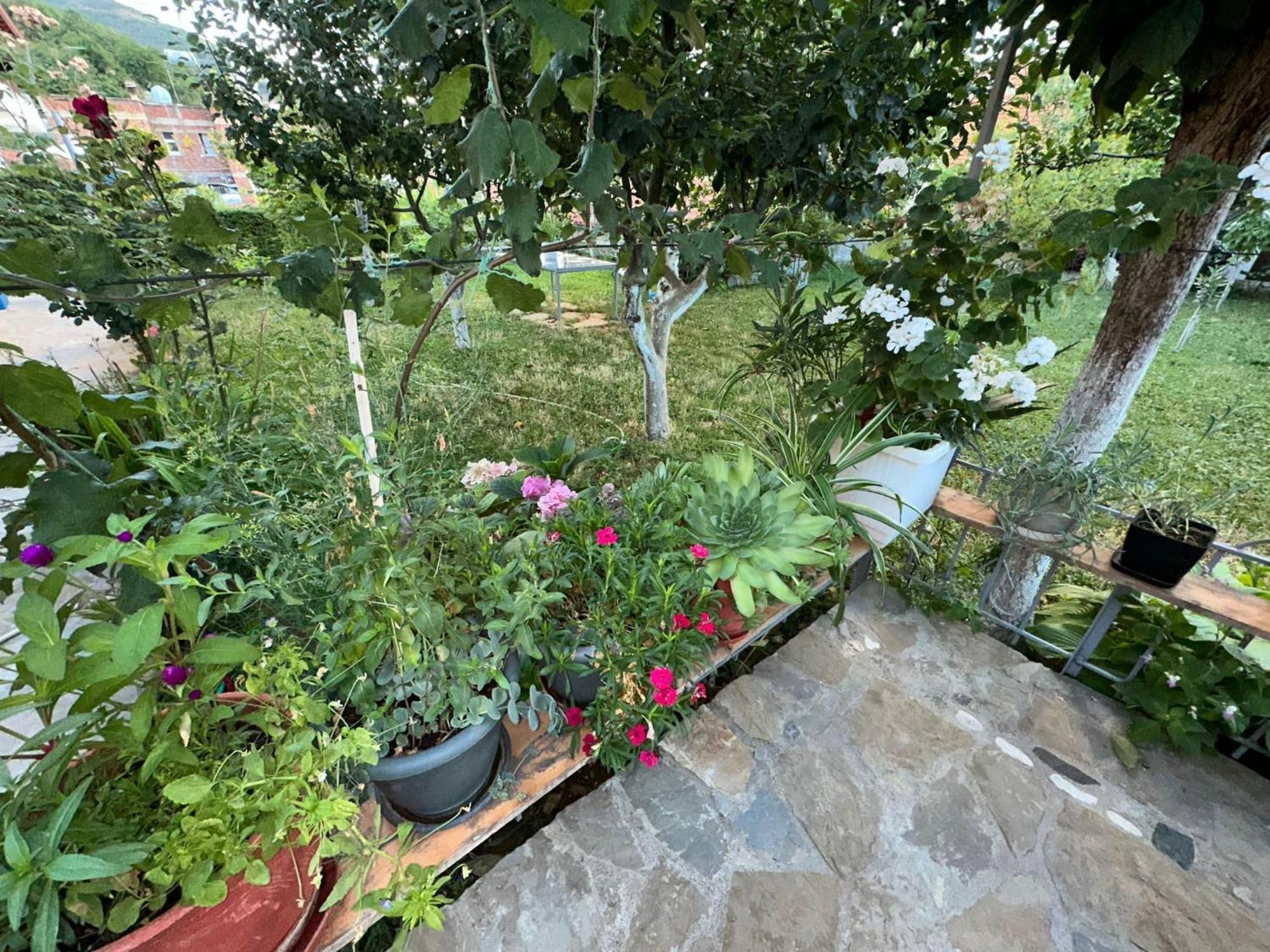 Gardenhouse Villa Memlishte Eksteriør billede
